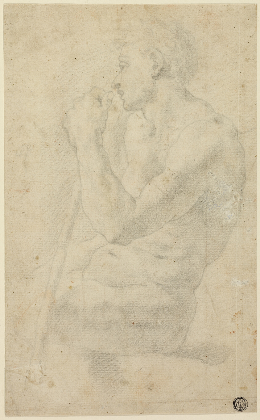 Academic Male Nude