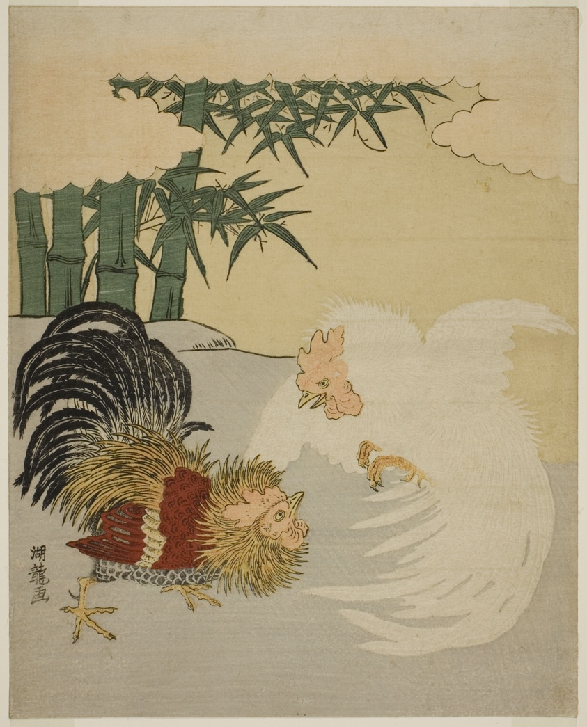 Cocks Fighting near Bamboo Grove
