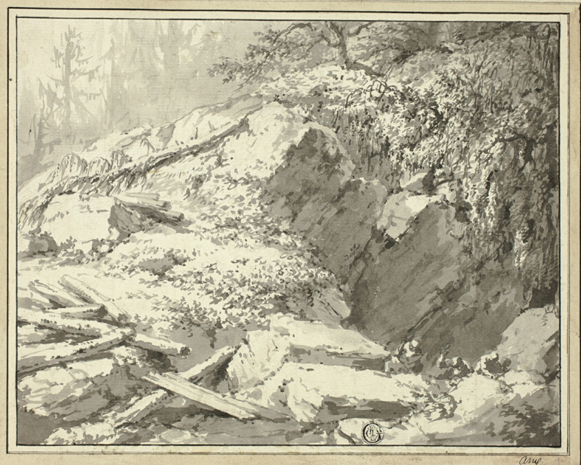 Mountainside with Fallen Tree