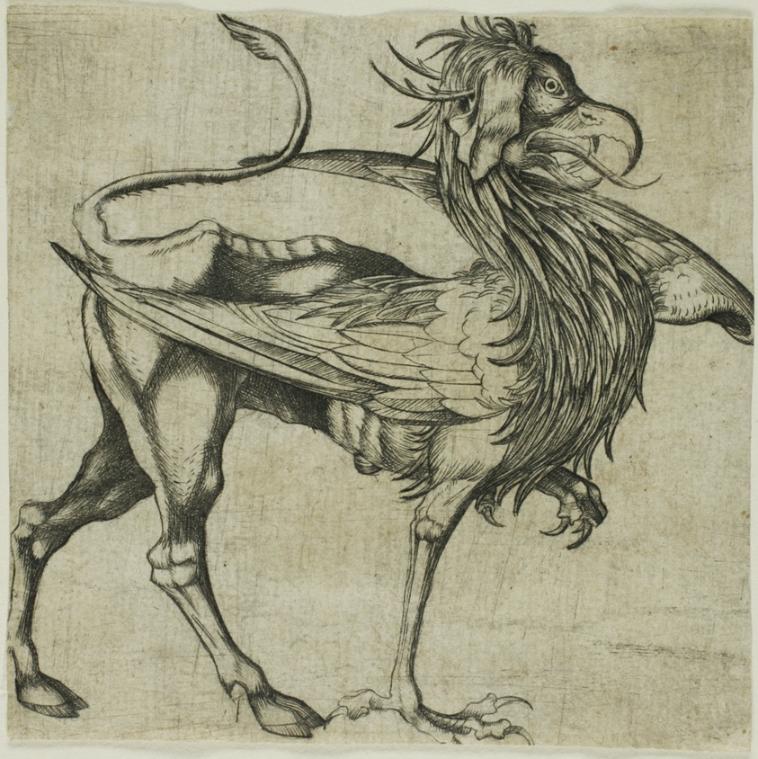 The Griffin