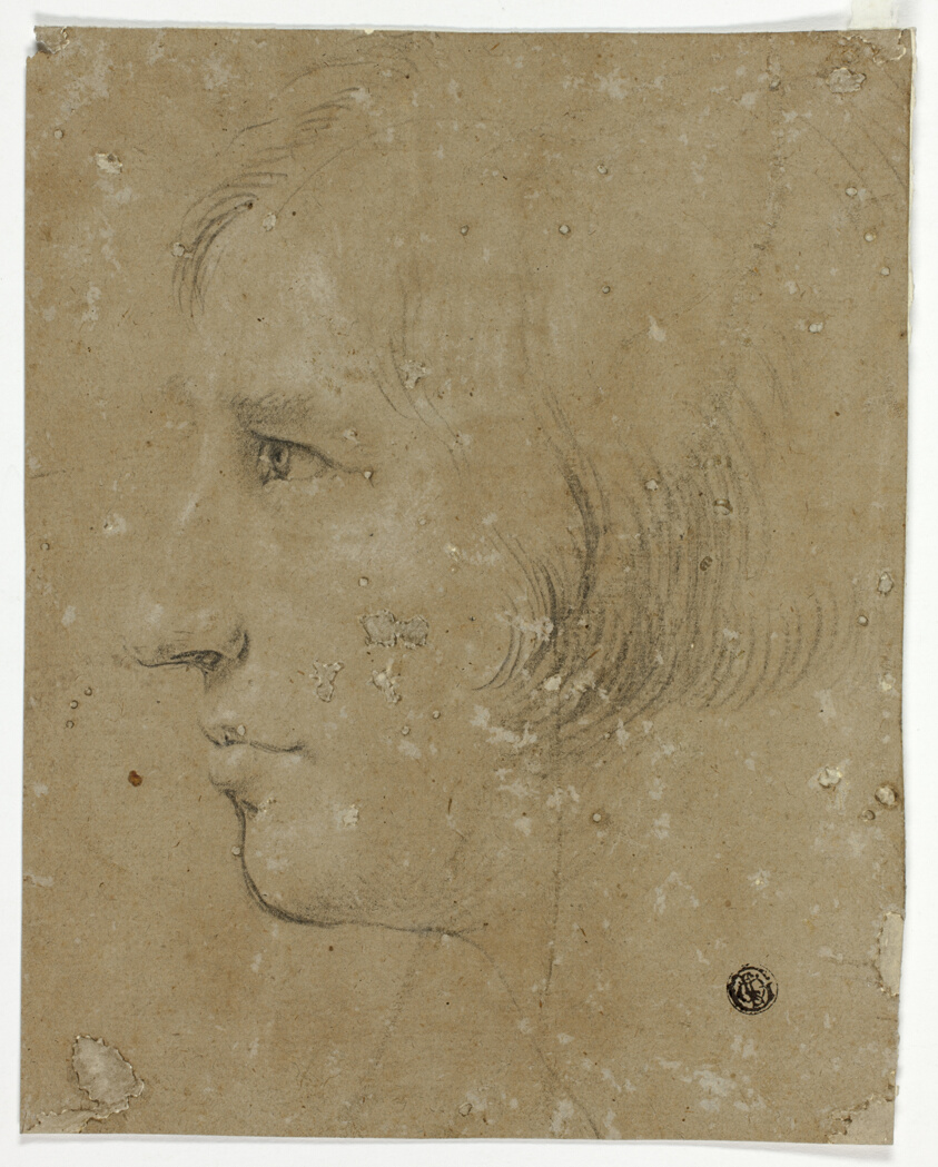 Profile of Male Head to Left