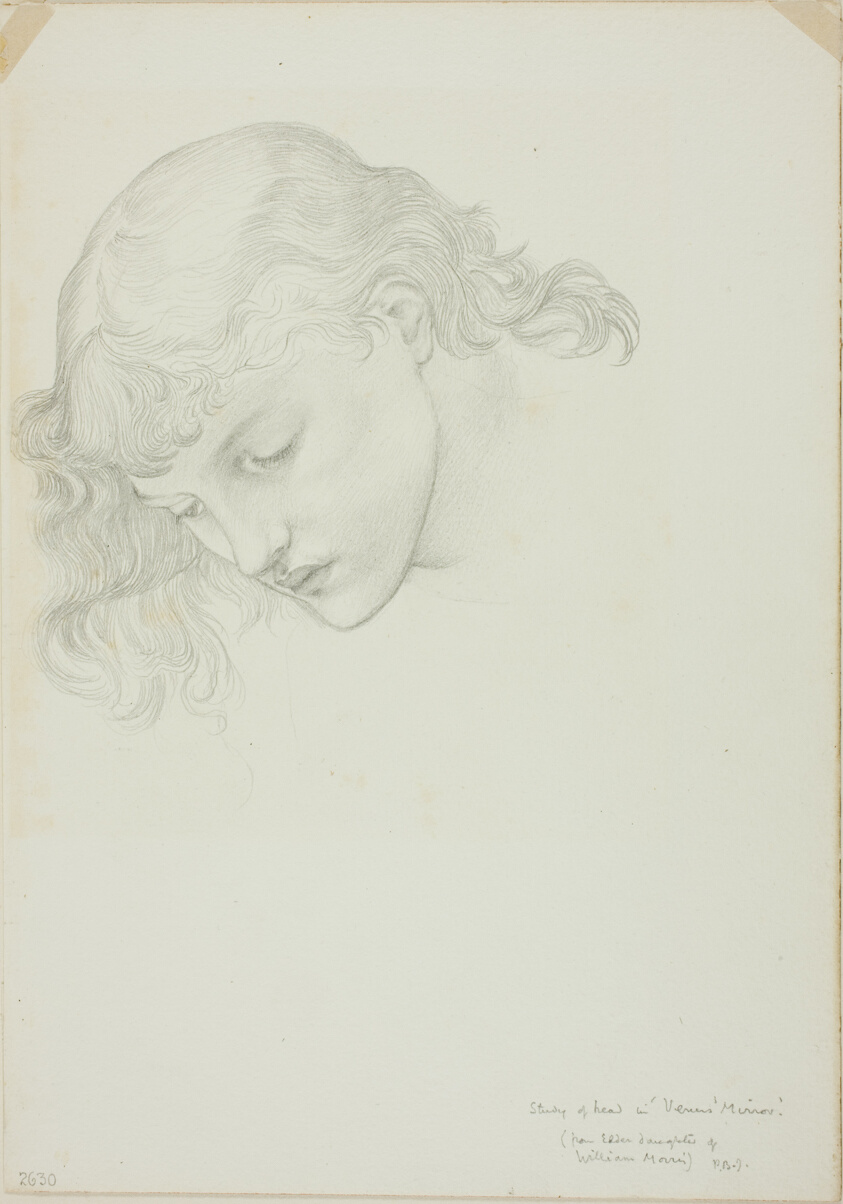Head, Study for Mirror of Venus