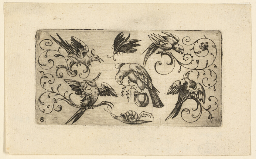 Ornament Panels with Birds: Plate 8